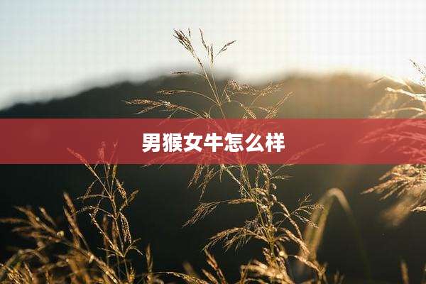 男猴女牛怎么样
