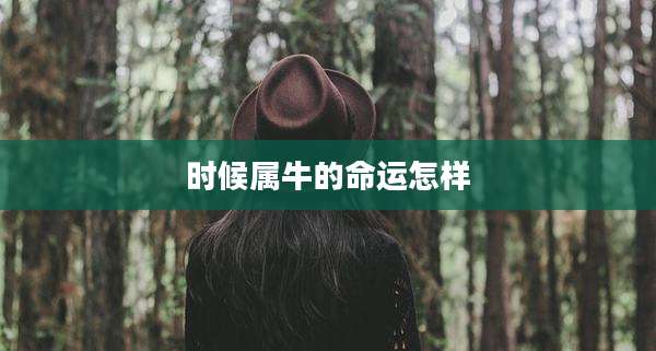 时候属牛的命运怎样