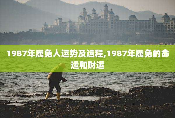 1987年属兔人运势及运程,1987年属兔的命运和财运