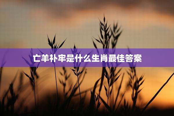 亡羊补牢是什么生肖最佳答案