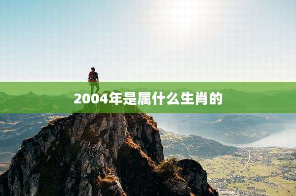 2004年是属什么生肖的
