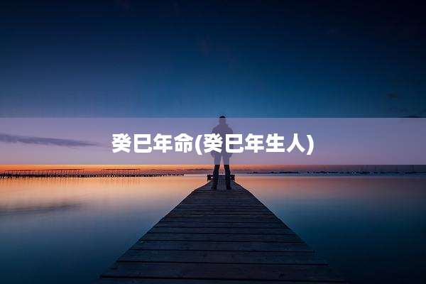 癸巳年命(癸巳年生人)