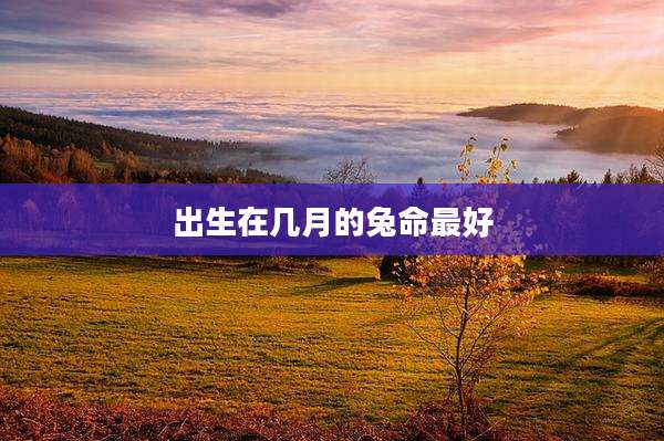 出生在几月的兔命最好