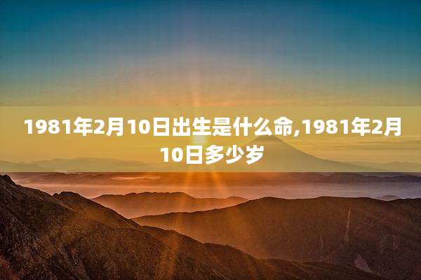 1981年2月10日出生是什么命,1981年2月10日多少岁
