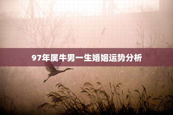 97年属牛男一生婚姻运势分析