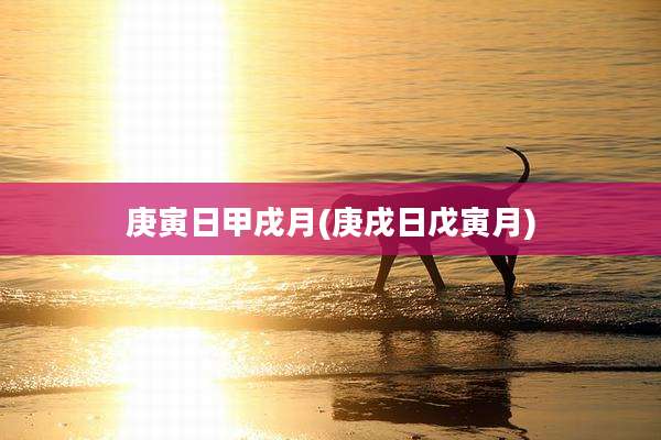 庚寅日甲戌月(庚戌日戊寅月)