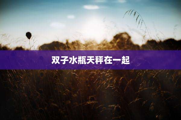 双子水瓶天秤在一起