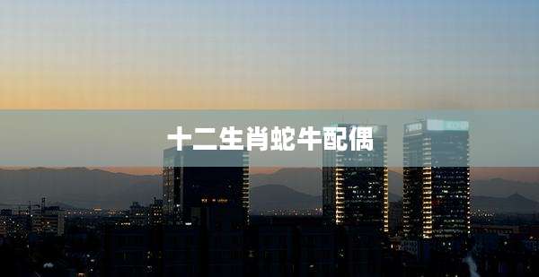 十二生肖蛇牛配偶