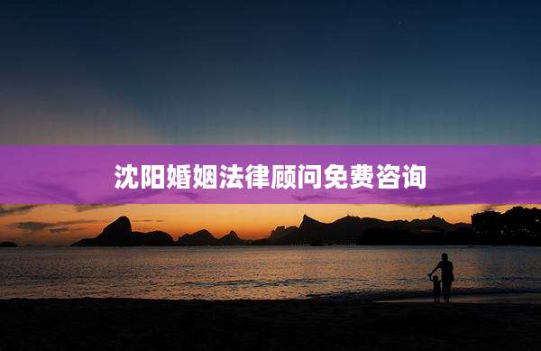沈阳婚姻法律顾问免费咨询