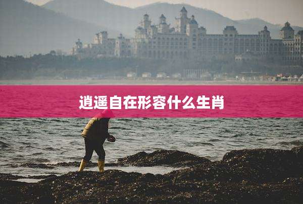 逍遥自在形容什么生肖