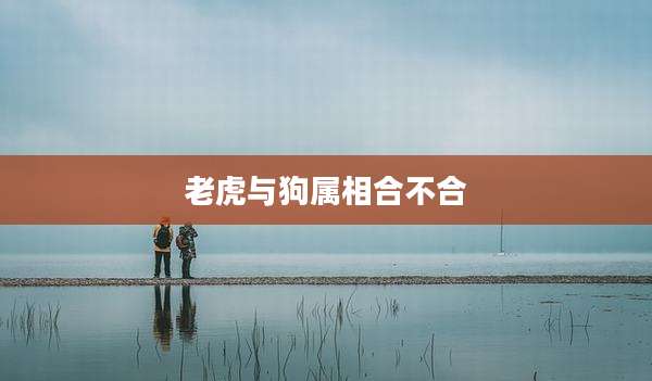 老虎与狗属相合不合