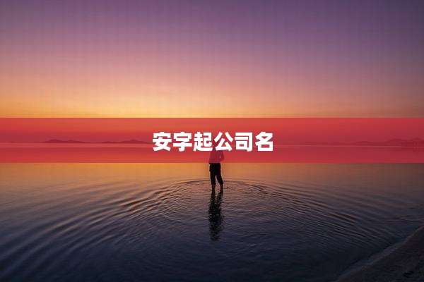 安字起公司名