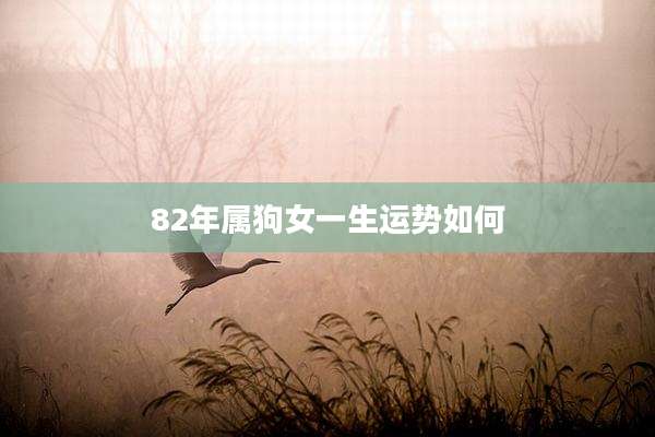 82年属狗女一生运势如何