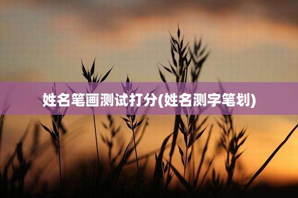 姓名笔画测试打分(姓名测字笔划)