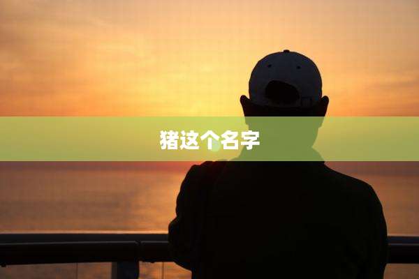 猪这个名字