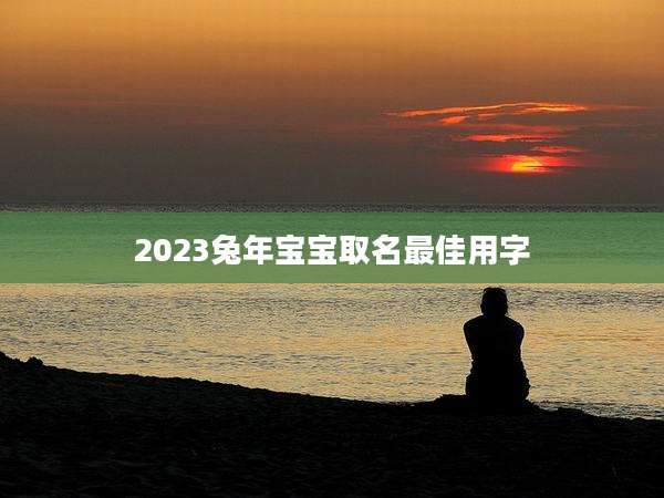 2023兔年宝宝取名最佳用字