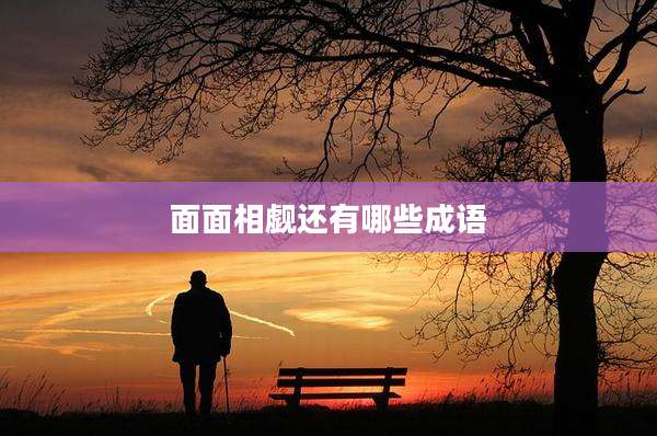 面面相觑还有哪些成语