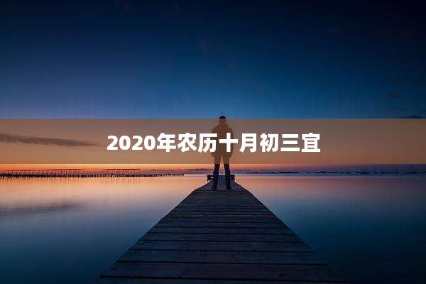 2020年农历十月初三宜