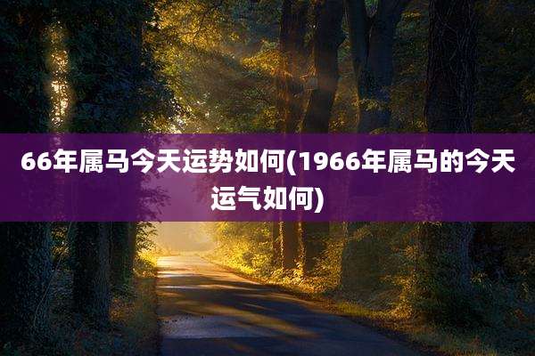 66年属马今天运势如何(1966年属马的今天运气如何)