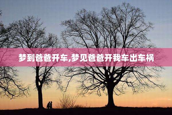 梦到爸爸开车,梦见爸爸开我车出车祸