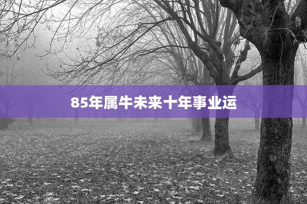 85年属牛未来十年事业运