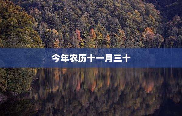 今年农历十一月三十