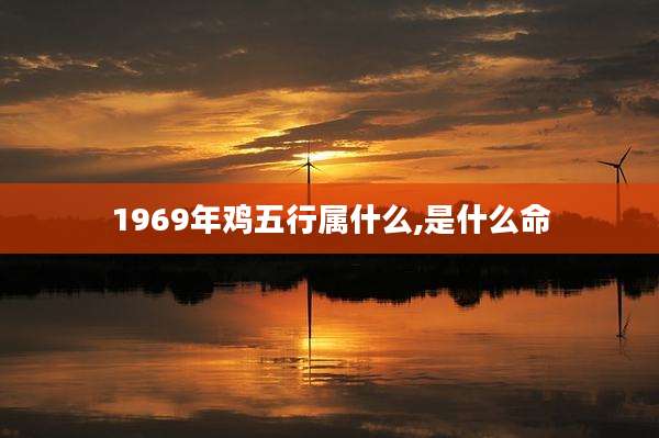 1969年鸡五行属什么,是什么命