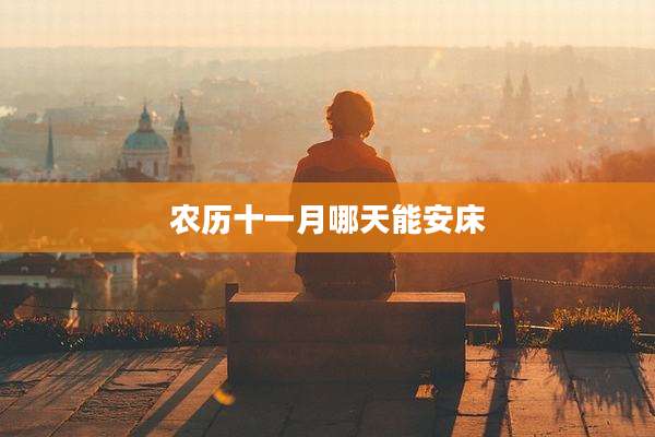 农历十一月哪天能安床