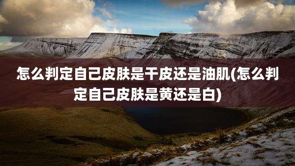 怎么判定自己皮肤是干皮还是油肌(怎么判定自己皮肤是黄还是白)