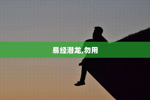 易经潜龙,勿用