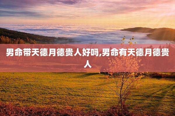 男命带天德月德贵人好吗,男命有天德月德贵人