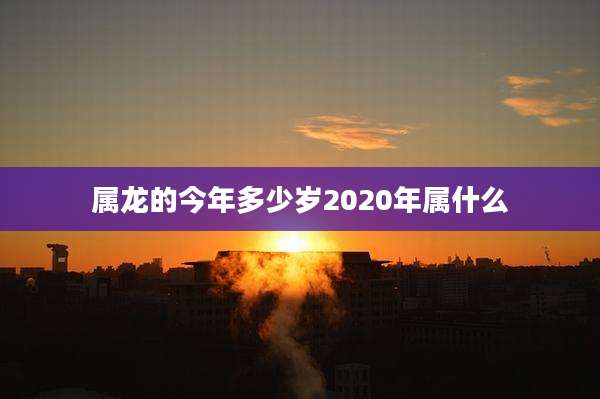 属龙的今年多少岁2020年属什么