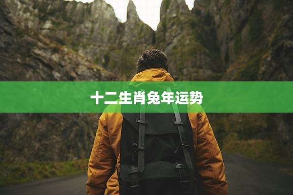 十二生肖兔年运势