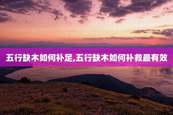 五行缺木如何补足,五行缺木如何补救最有效
