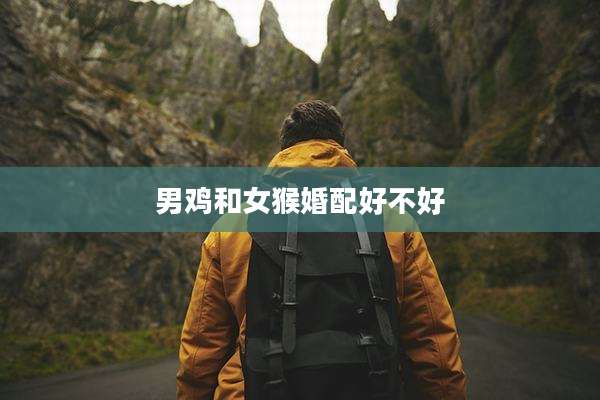 男鸡和女猴婚配好不好