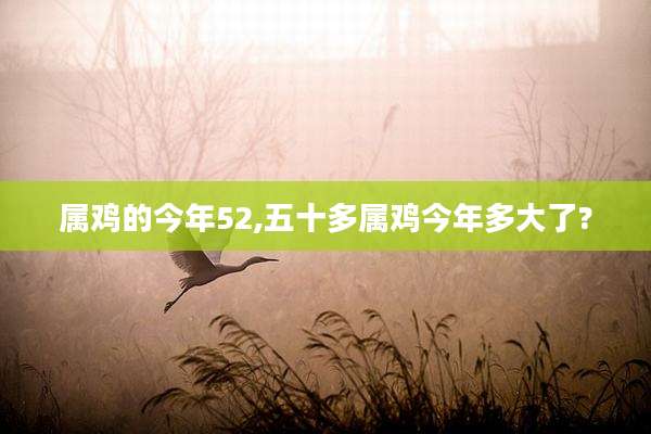 属鸡的今年52,五十多属鸡今年多大了?