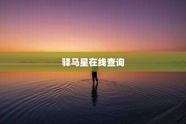 驿马星在线查询