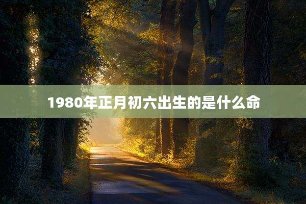 1980年正月初六出生的是什么命