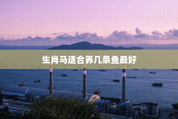 生肖马适合养几条鱼最好