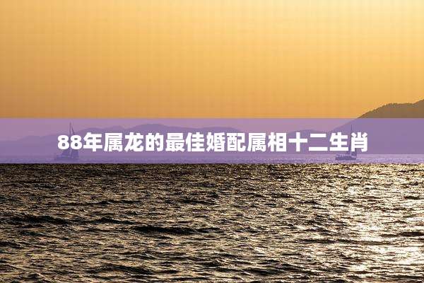 88年属龙的最佳婚配属相十二生肖