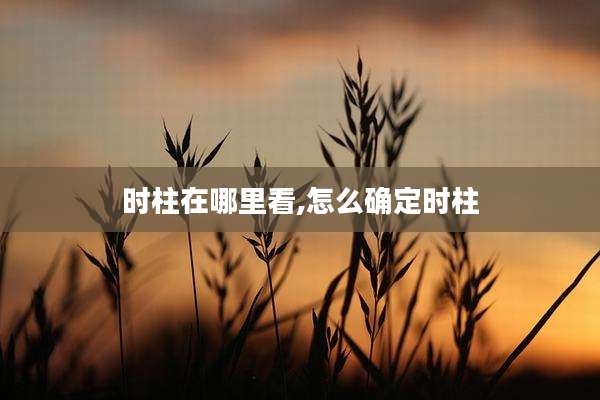 时柱在哪里看,怎么确定时柱