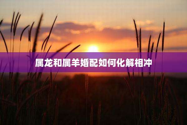 属龙和属羊婚配如何化解相冲