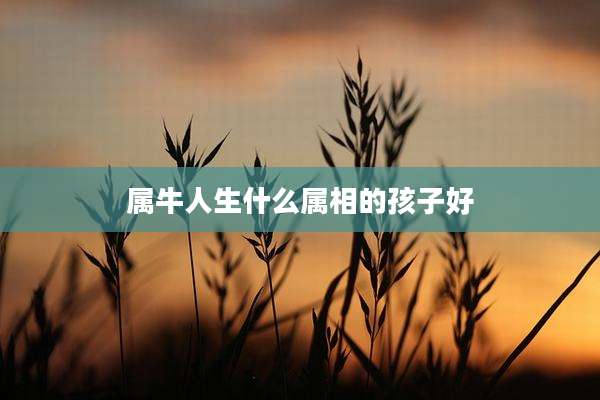 属牛人生什么属相的孩子好