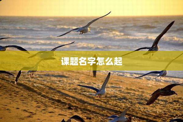 课题名字怎么起