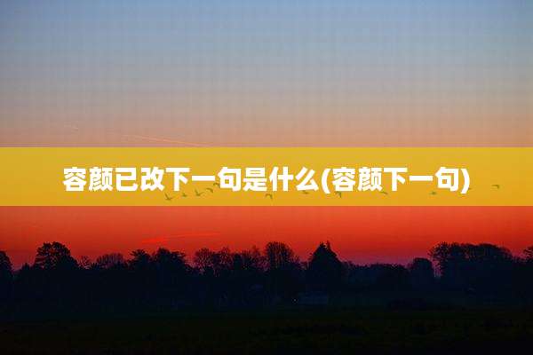 容颜已改下一句是什么(容颜下一句)