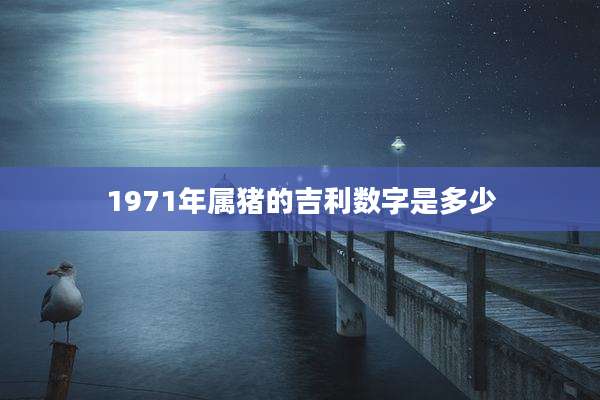 1971年属猪的吉利数字是多少