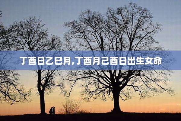 丁酉日乙巳月,丁酉月己酉日出生女命
