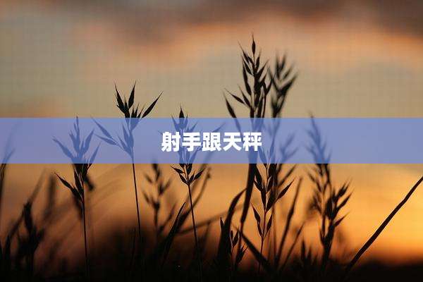 射手跟天秤