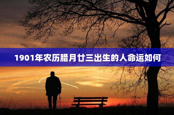 1901年农历腊月廿三出生的人命运如何