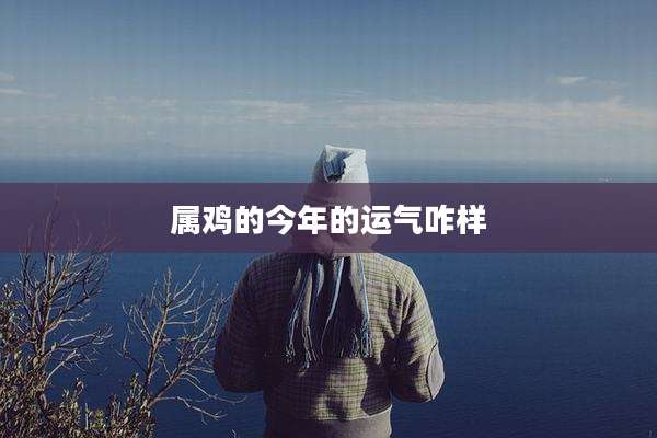 属鸡的今年的运气咋样